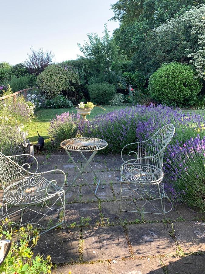Bed and Breakfast Cary Fitzpaine House Babcary Esterno foto